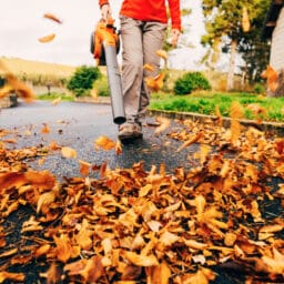 Leaf blower clearing driveway